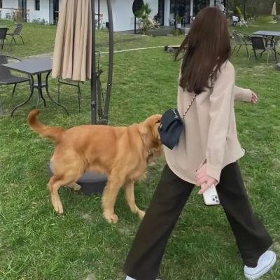 咸鱼要翻身